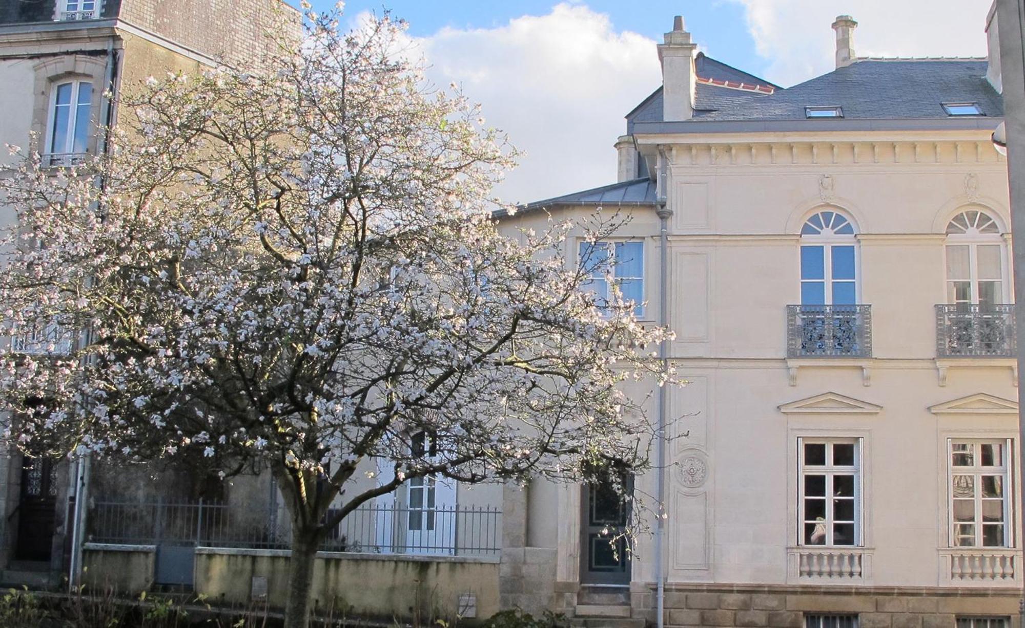 A Vannes